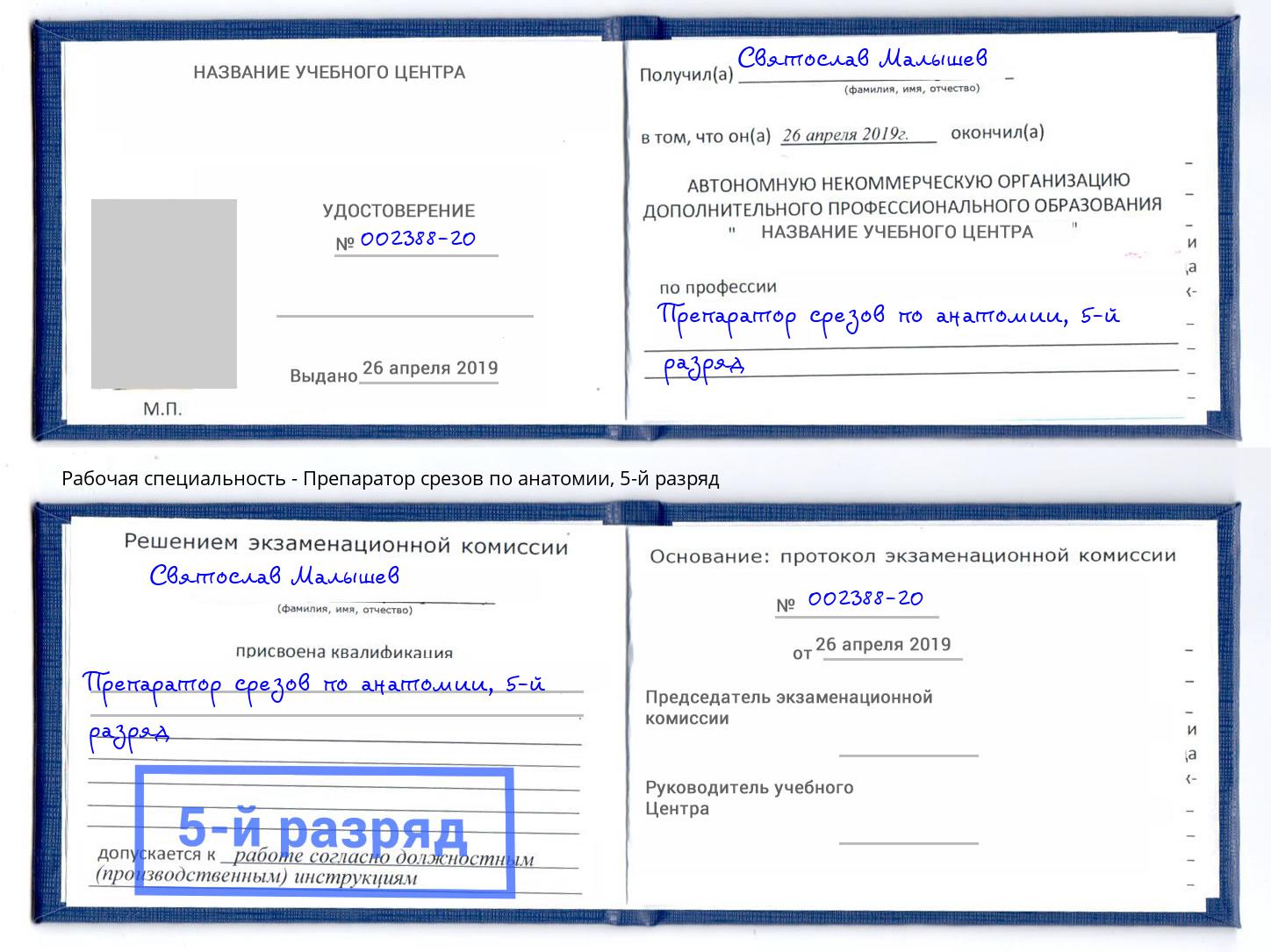 корочка 5-й разряд Препаратор срезов по анатомии Протвино