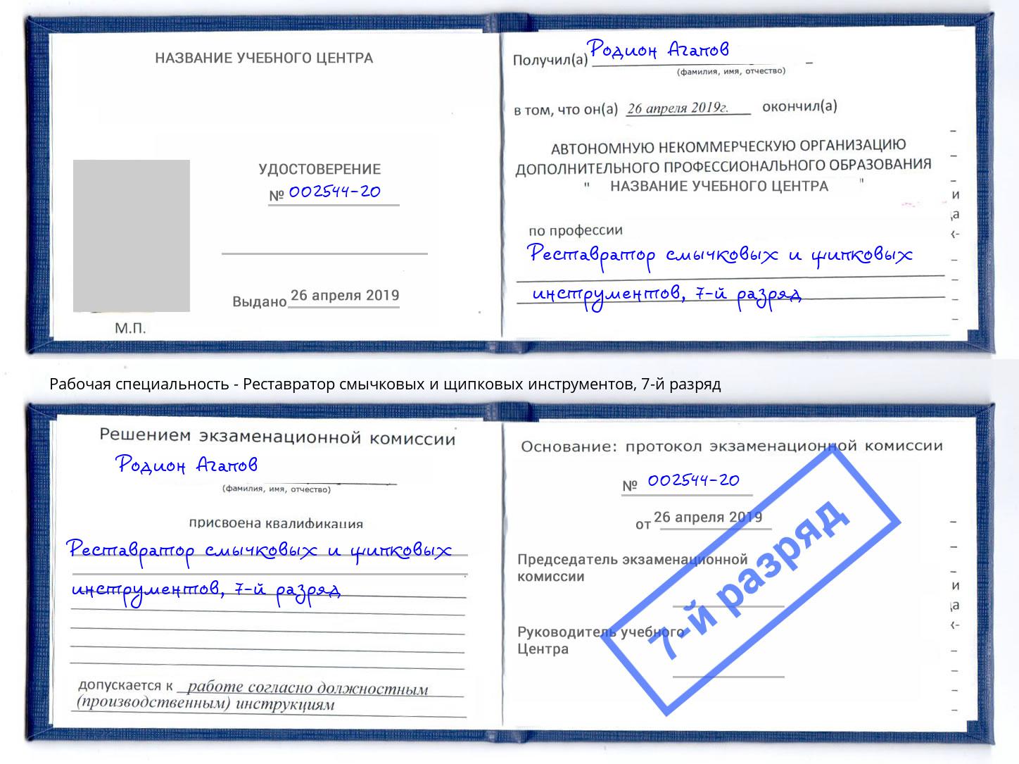 корочка 7-й разряд Реставратор смычковых и щипковых инструментов Протвино