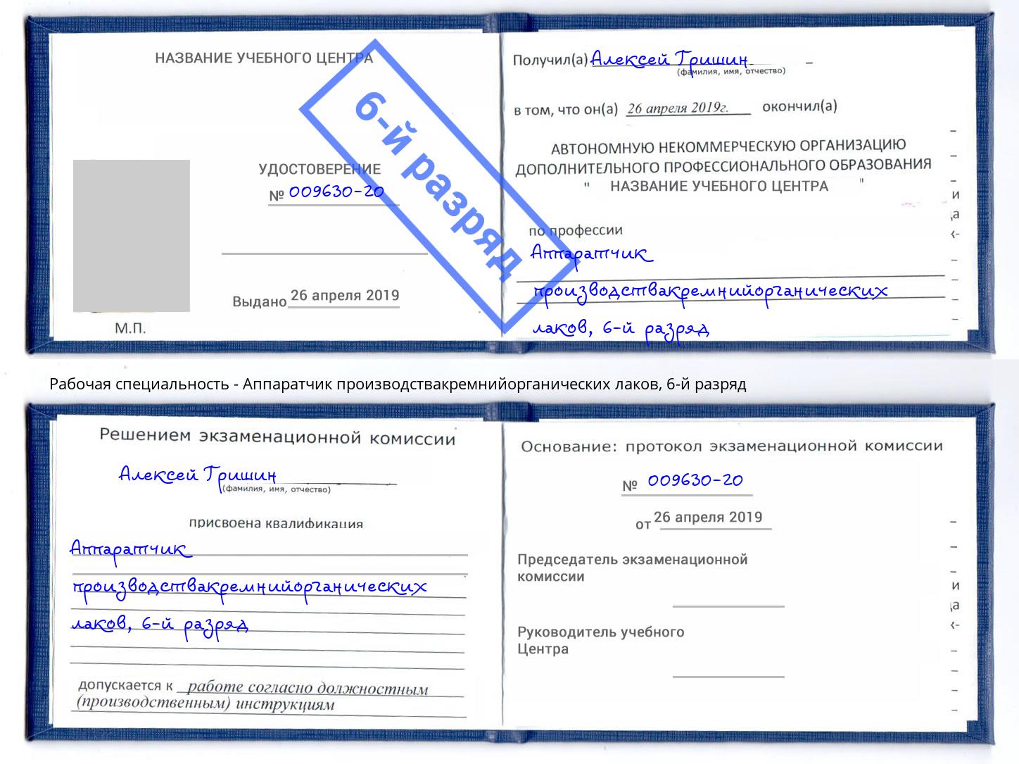 корочка 6-й разряд Аппаратчик производствакремнийорганических лаков Протвино