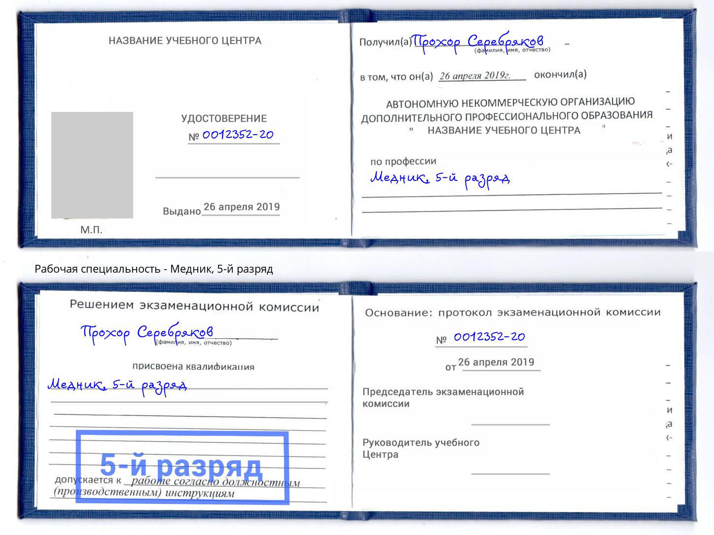 корочка 5-й разряд Медник Протвино